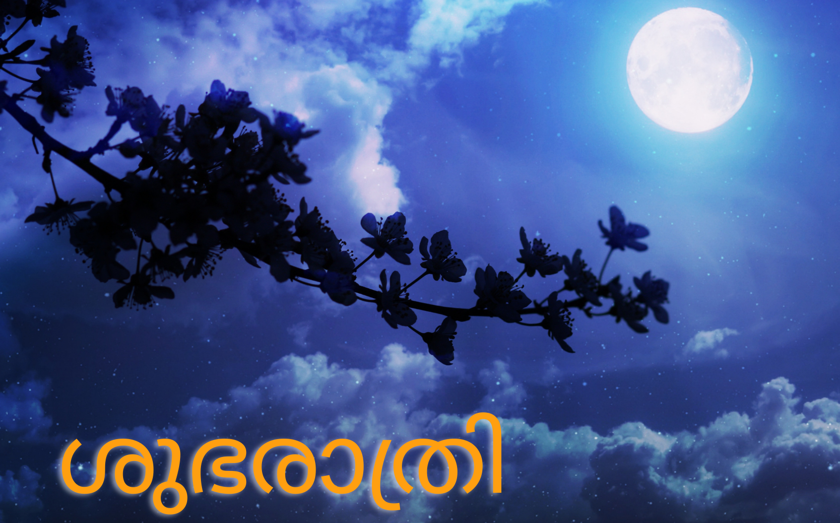 Best Malayalam Good Night Quotes