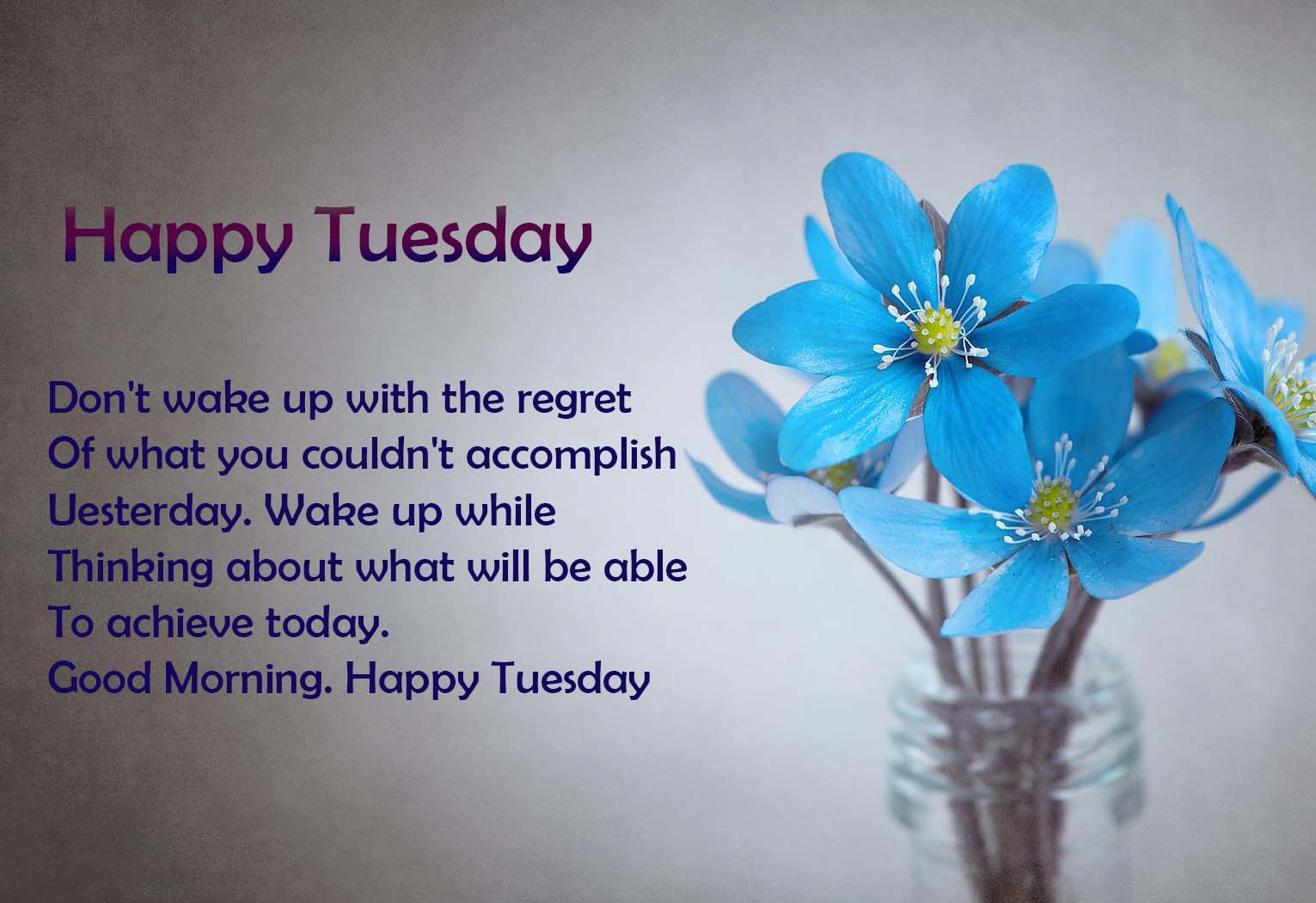 Good Morning Happy Tuesday Image Wishes