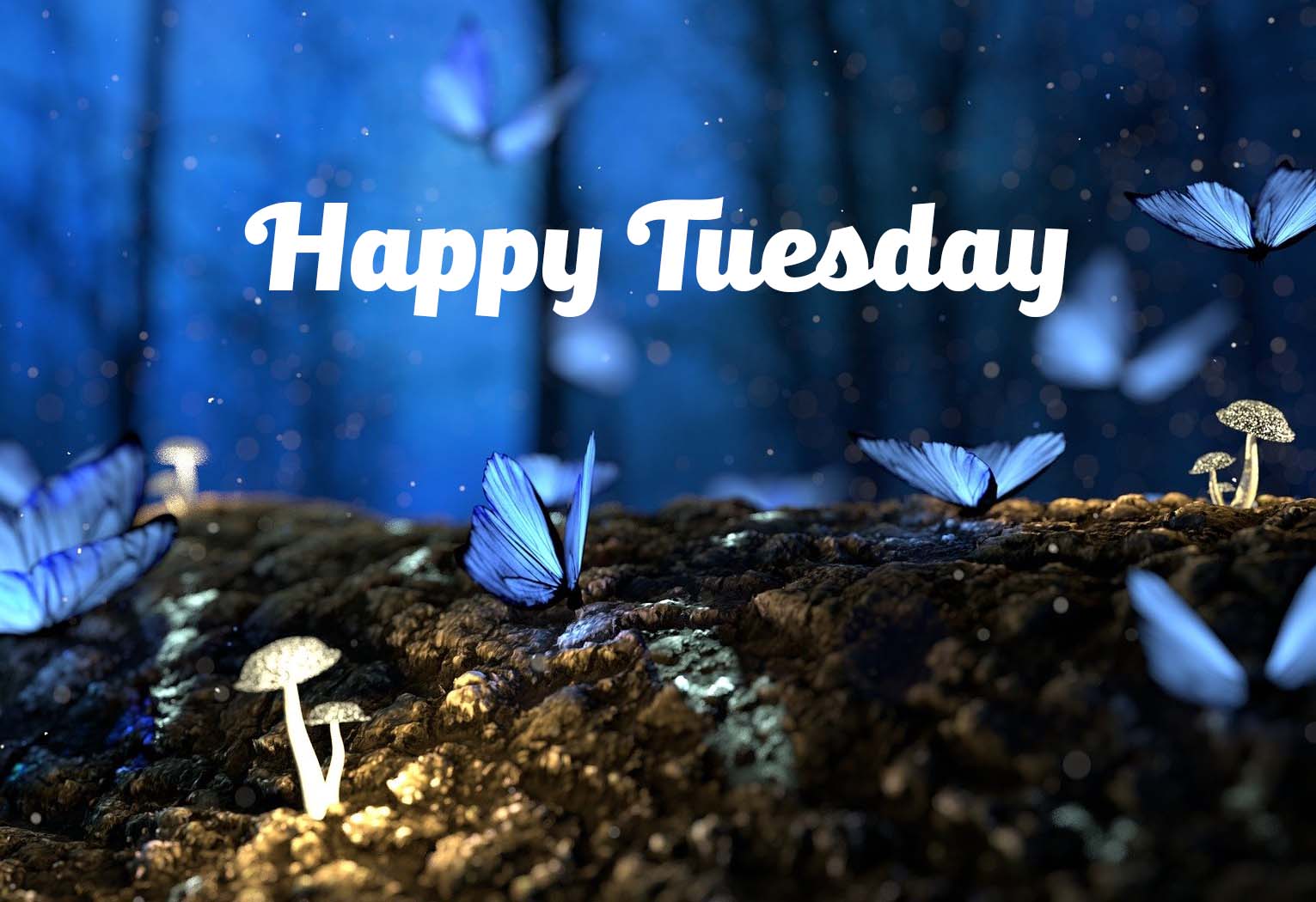 Happy Tuesday 2022 Images